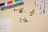  ( - TROM_V_65472_sg)  @11 [ ] CreativeCommons - Attribution Non-Commercial Share-Alike (2017) Unspecified Tromsø University Museum