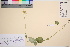  ( - TROM_V_70512_sg)  @11 [ ] CreativeCommons - Attribution Non-Commercial Share-Alike (2016) Unspecified Tromso University Museum