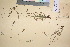  ( - TROM_V_73778_sg)  @11 [ ] CreativeCommons - Attribution Non-Commercial Share-Alike (2016) Unspecified Tromso University Museum