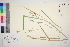  ( - TROM_V_86977_sg)  @11 [ ] CreativeCommons - Attribution Non-Commercial Share-Alike (2016) Unspecified Tromso University Museum