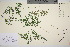  ( - TROM_V_961303_sg)  @11 [ ] CreativeCommons - Attribution Non-Commercial Share-Alike (2016) Unspecified Tromso University Museum