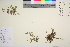  ( - TROM_V_963741_sg)  @11 [ ] CreativeCommons - Attribution Non-Commercial Share-Alike (2016) Unspecified Tromso University Museum