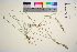  ( - TROM_V_965192_sg)  @11 [ ] CreativeCommons - Attribution Non-Commercial Share-Alike (2016) Unspecified Tromso University Museum