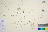  ( - TROM_V_965443_sg)  @11 [ ] CreativeCommons - Attribution Non-Commercial Share-Alike (2016) Unspecified Tromso University Museum