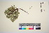  ( - TROM_V_966841_sg)  @11 [ ] CreativeCommons - Attribution Non-Commercial Share-Alike (2016) Unspecified Tromso University Museum