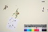  ( - TROM_V_967606_sg)  @11 [ ] CreativeCommons - Attribution Non-Commercial Share-Alike (2016) Unspecified Tromso University Museum