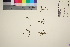  ( - TROM_V_967777_sg)  @11 [ ] by-nc-sa (2016) Unspecified Tromsø University Museum