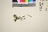  ( - TROM_V_967801_sg)  @11 [ ] CreativeCommons - Attribution Non-Commercial Share-Alike (2016) Unspecified Tromso University Museum