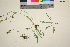  ( - TROM_V_967820_sg)  @11 [ ] CreativeCommons - Attribution Non-Commercial Share-Alike (2016) Unspecified Tromso University Museum