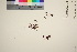 ( - TROM_V_968045_sg)  @11 [ ] by-nc-sa (2016) Unspecified Tromsø University Museum