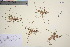  ( - TROM_V_97038_sg)  @11 [ ] CreativeCommons - Attribution Non-Commercial Share-Alike (2016) Unspecified Tromso University Museum
