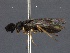  ( - WSSF143)  @12 [ ] CreativeCommons - Attribution Non-Commercial Share-Alike (2013) WSDA Entomology Washington State Department of Agriculture