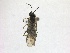  ( - WSSF17)  @12 [ ] CreativeCommons - Attribution Non-Commercial Share-Alike (2013) WSDA Entomology Washington State Department of Agriculture
