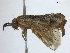  ( - WSSF210)  @14 [ ] CreativeCommons - Attribution Non-Commercial Share-Alike (2013) WSDA Entomology Washington State Department of Agriculture