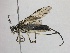  ( - WSSF27)  @13 [ ] CreativeCommons - Attribution Non-Commercial Share-Alike (2013) WSDA Entomology Washington State Department of Agriculture