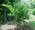  ( - Guang20)  @11 [ ] No Rights Reserved  Unspecified Unspecified