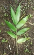  ( - Guang20)  @11 [ ] No Rights Reserved  Unspecified Unspecified