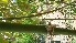  ( - Guang20)  @11 [ ] No Rights Reserved  Unspecified Unspecified