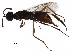  ( - BIOUG25755-H05)  @13 [ ] CreativeCommons - Attribution (2017) CBG Photography Group Centre for Biodiversity Genomics