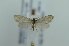  ( - CMW BC0460)  @11 [ ] Copyright (2022) Unspecified POESE