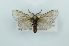  ( - CMW_BC0643)  @11 [ ] copyright (2025) Unspecified POESE
