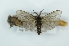  ( - CMW_BC0644)  @11 [ ] copyright (2025) Unspecified POESE