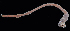  ( - BOIMB_0426)  @11 [ ] CreativeCommons  Attribution Non-Commercial Share-Alike (2019) The Smithsonian Institution The Smithsonian Institution National Museum of Natural History, Department of Invertebrate Zoology