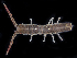  ( - BOIMB_0608)  @11 [ ] CreativeCommons  Attribution Non-Commercial Share-Alike (2019) The Smithsonian Institution The Smithsonian Institution National Museum of Natural History, Department of Invertebrate Zoology