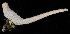  (Paracaudina chilensis - BOIMB_1197)  @11 [ ] CreativeCommons  Attribution Non-Commercial Share-Alike (2019) The Smithsonian Institution The Smithsonian Institution National Museum of Natural History, Department of Invertebrate Zoology