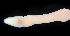  ( - BOIMB_2373)  @11 [ ] CreativeCommons  Attribution Non-Commercial Share-Alike (2019) The Smithsonian Institution The Smithsonian Institution National Museum of Natural History, Department of Invertebrate Zoology