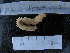  ( - MACNINVCTAP0023)  @11 [ ] CreativeCommons - Attribution Non-Commercial (2013) Unspecified MACN