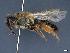  ( - APO_00022)  @11 [ ] CC-BY-NC (2023) ARTHROPOLOGIA ARTHROPOLOGIA