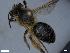  ( - APO_00024)  @11 [ ] CC-BY-NC (2023) ARTHROPOLOGIA ARTHROPOLOGIA