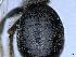  ( - APO_00036)  @11 [ ] CC-BY-NC (2023) ARTHROPOLOGIA ARTHROPOLOGIA