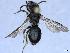  ( - APO_00036)  @11 [ ] CC-BY-NC (2023) ARTHROPOLOGIA ARTHROPOLOGIA