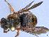  ( - APO_00053)  @11 [ ] CC-BY-NC (2023) ARTHROPOLOGIA ARTHROPOLOGIA