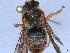  ( - APO_00053)  @11 [ ] CC-BY-NC (2023) ARTHROPOLOGIA ARTHROPOLOGIA