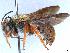  ( - APO_00053)  @11 [ ] CC-BY-NC (2023) ARTHROPOLOGIA ARTHROPOLOGIA