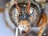  ( - APO_00053)  @11 [ ] CC-BY-NC (2023) ARTHROPOLOGIA ARTHROPOLOGIA