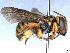  ( - APO_00057)  @11 [ ] CC-BY-NC (2023) ARTHROPOLOGIA ARTHROPOLOGIA