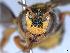  ( - APO_00057)  @11 [ ] CC-BY-NC (2023) ARTHROPOLOGIA ARTHROPOLOGIA