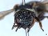  ( - APO_00073)  @11 [ ] CC-BY-NC (2023) ARTHROPOLOGIA ARTHROPOLOGIA