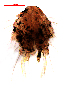  (Polypedilum conghuaense - song128)  @12 [ ] Copyright (2015) Chao Song College of Life Sciences, Nankai University