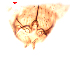  ( - song218)  @12 [ ] Copyright (2015) Chao Song College of Life Sciences, Nankai University