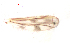  ( - song233)  @12 [ ] Copyright (2015) Chao Song College of Life Sciences, Nankai University