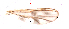  ( - song234)  @11 [ ] Copyright (2015) Chao Song College of Life Sciences, Nankai University