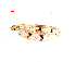  ( - song25)  @12 [ ] Copyright (2015) Chao Song College of Life Sciences, Nankai University