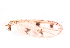  ( - song40)  @12 [ ] Copyright (2015) Chao Song College of Life Sciences, Nankai University