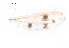  ( - song52)  @11 [ ] Copyright (2015) Chao Song College of Life Sciences, Nankai University