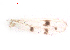  ( - song59)  @12 [ ] Copyright (2015) Chao Song College of Life Sciences, Nankai University